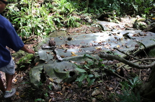 2014_09_18_1895_1.jpg