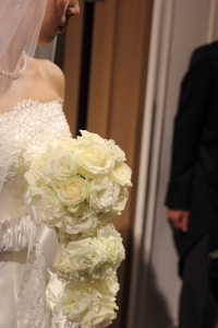 DPP_0032_1.jpg