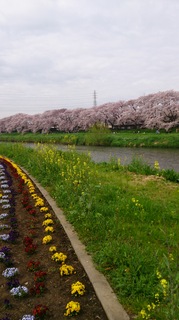 DSC_0515.jpg