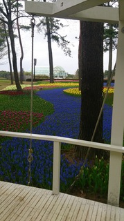 DSC_0583.jpg