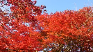 DSC_0644.jpg