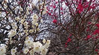 DSC_1028.jpg