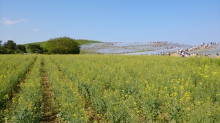 DSC_1167.jpg