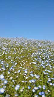 DSC_1191.jpg