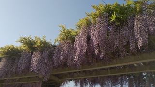 DSC_1207.jpg