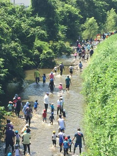IMG_1120.JPG
