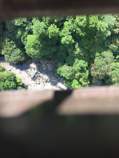 IMG_1505.JPG