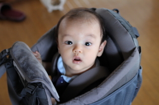 IMG_3389_1.jpg