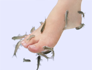 doctorfish.png